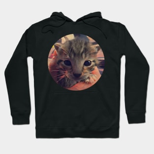 Anxious floppy cat Hoodie